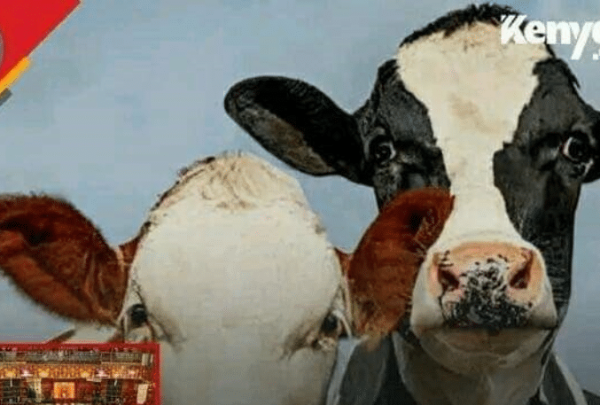 Animal Production Professionals and Technicians Bill 2023