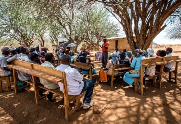 under-tree-meeting